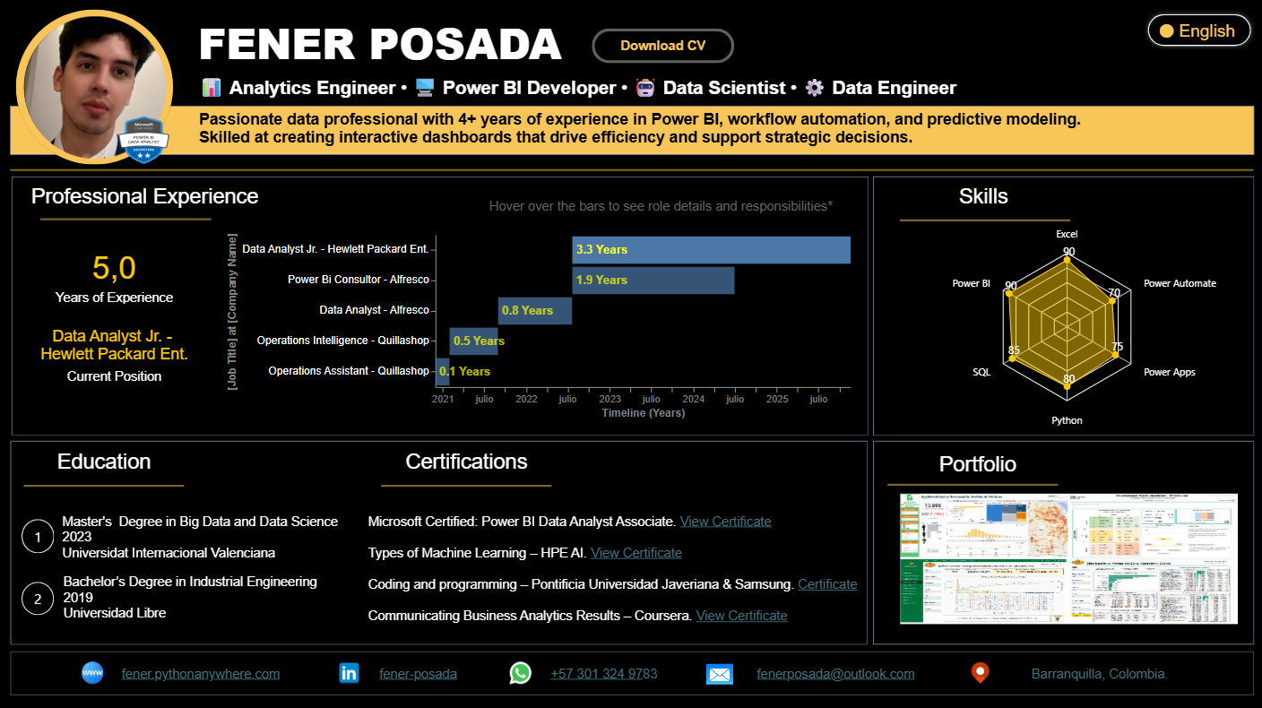 Interactive Power BI résumé